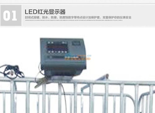 温州乐恒 精工细作，为智慧养殖打造高精度非标称重解决方案
